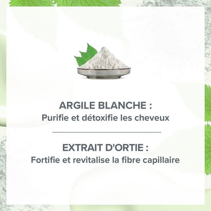 Shampoing Purifiant Secret d'Argile